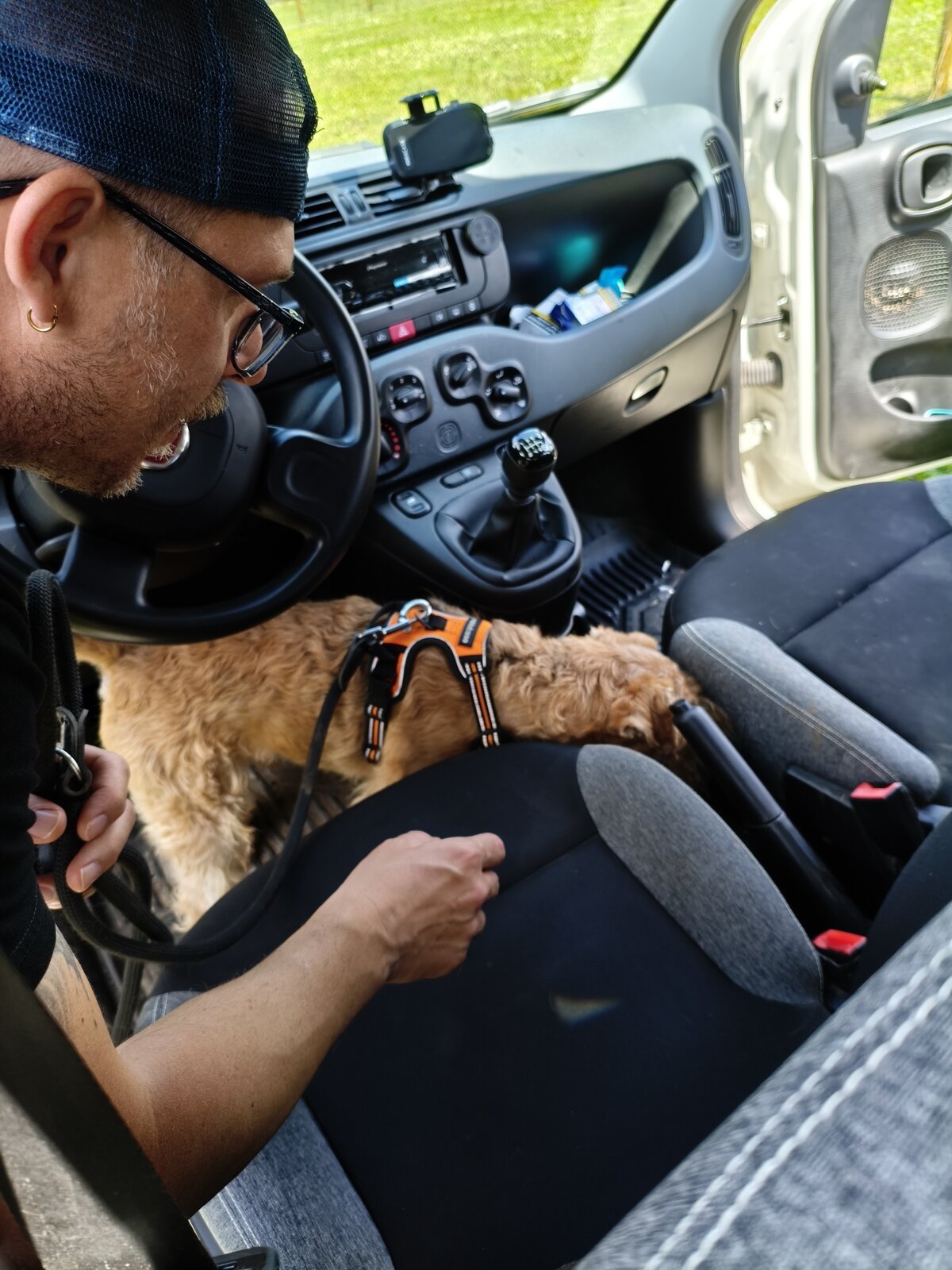 Scent Game Cane Fidelis 04